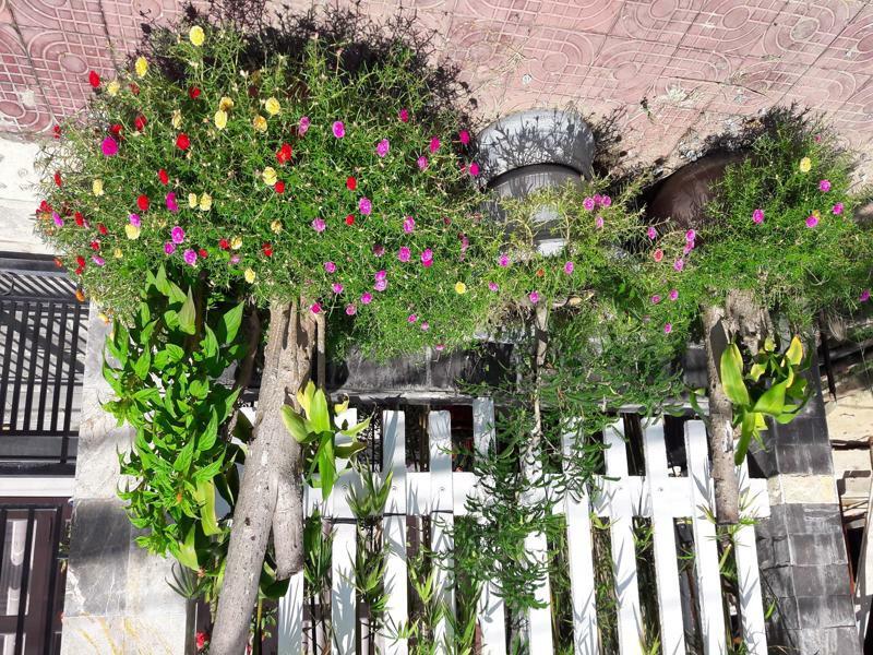 The House 36 Hoi An Exterior foto