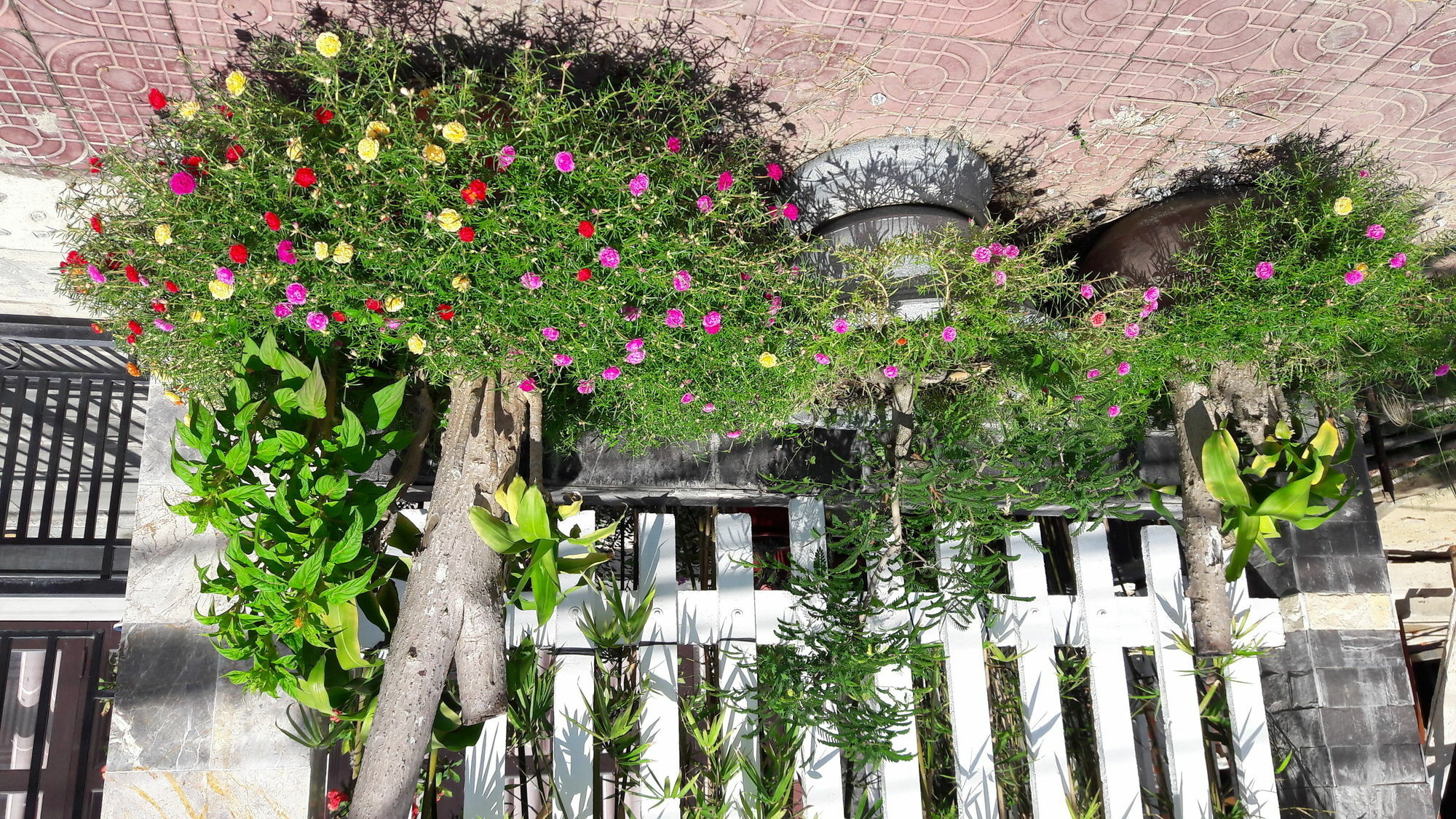 The House 36 Hoi An Exterior foto